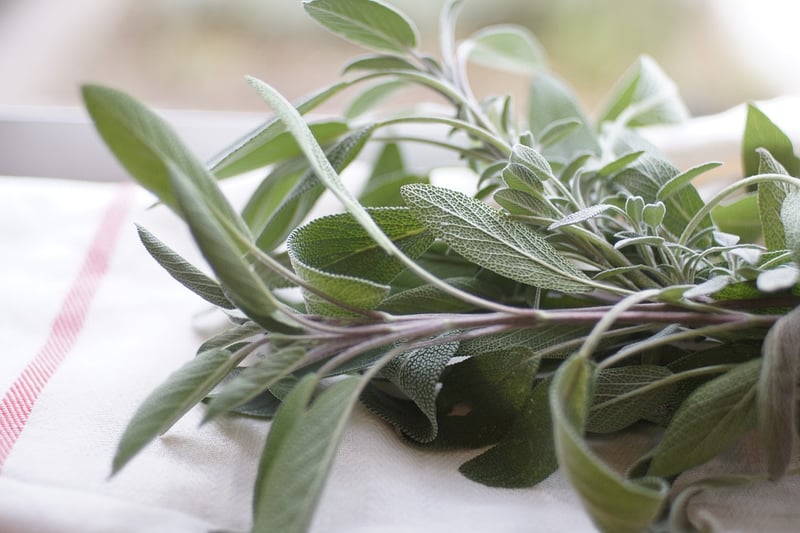 Fresh Herbs